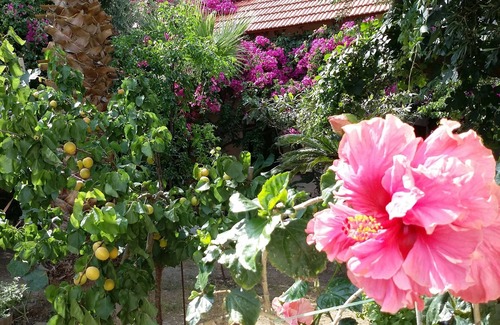 Kantanos-Selino Other | Beautiful Cottage in S West Crete near the sea