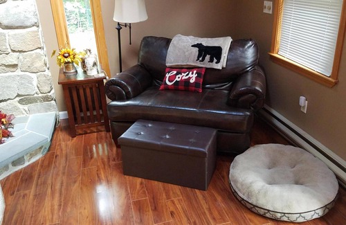 Conway House | Beautiful Dog-Friendly Conway Chalet! 🐶⛷️🏖️☀️❄️🍁