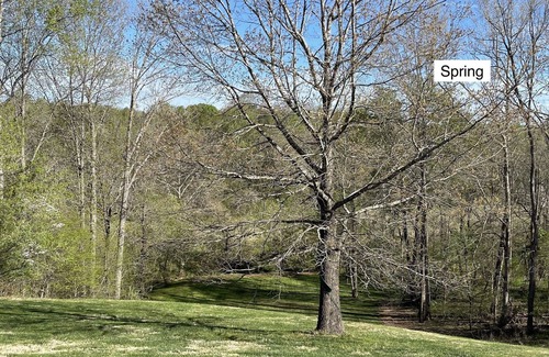 Forest Apartment | Beautiful Farmhouse, Terrace Level Apartment, 13 min. from LU
