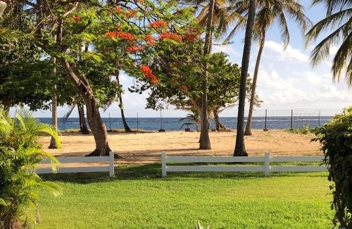 L'Autre-Bord Apartment | Beautiful Ground Floor, Seaside Studio Flat