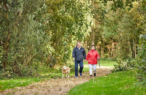 Heinkenszand House | Beautiful group accommodation, located in Zeeland