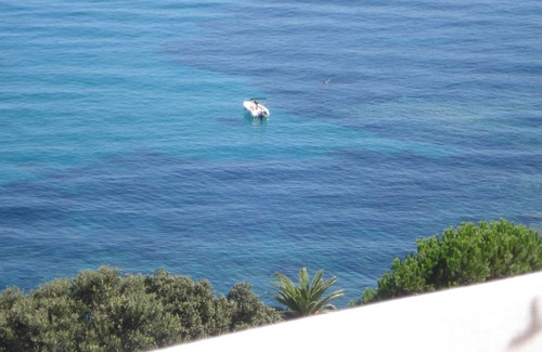 Erbalunga Villa | Beautiful house on the sea 300 m from the beach