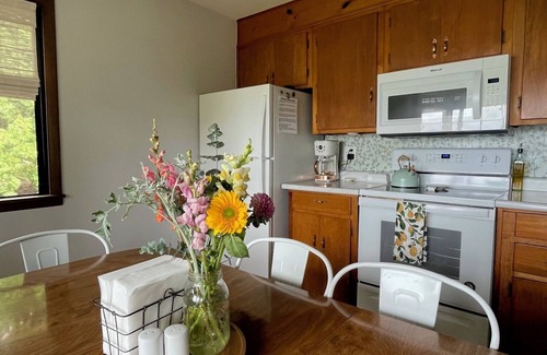 Traverse City Cottage | Beautiful lakefront cottage on South Lake Leelanau with pontoon!