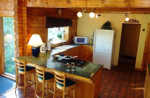 Pine Hill Cabin | Beautiful Log Ski Cabin w/Belleayre Mtn Views