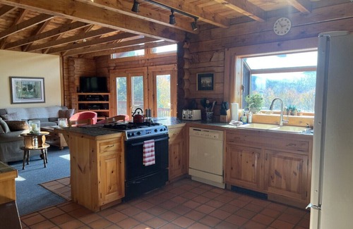 Pine Hill Cabin | Beautiful Log Ski Cabin w/Belleayre Mtn Views