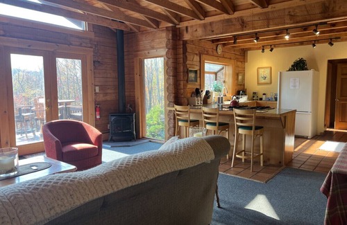 Pine Hill Cabin | Beautiful Log Ski Cabin w/Belleayre Mtn Views