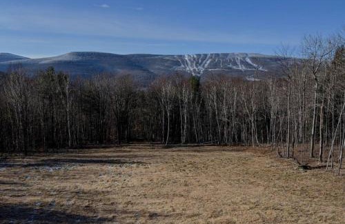 Pine Hill House | Beautiful Log Ski Cabin Belleayre Mtn Views