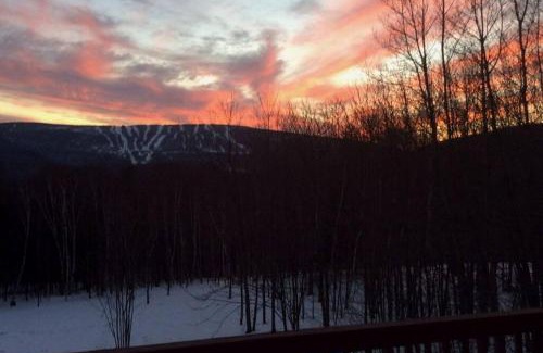 Pine Hill House | Beautiful Log Ski Cabin Belleayre Mtn Views