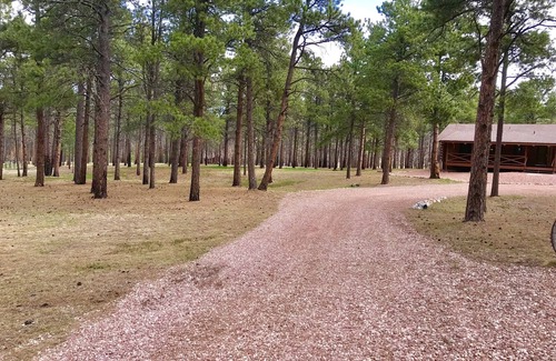 Colorado Springs House | Beautiful log home in black forest. Summer paradise, Winter wonderland!