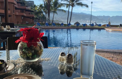 South Hotel Zone Condo | Beautiful oceanfront condo amid the palms of Los Tules
