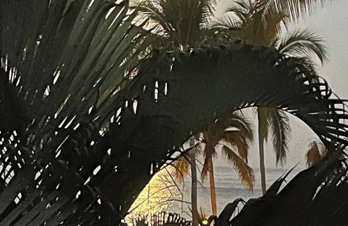 South Hotel Zone Condo | Beautiful oceanfront condo amid the palms of Los Tules