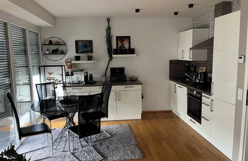 Fuerth House | Beautiful penthouse apartment