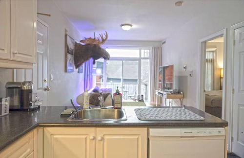 Church and Wellesley Condo | Beautiful Petit Gem Ap. In Downtown! Walk Anywhere