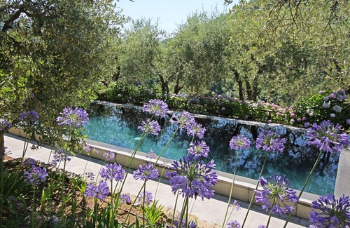Santo Stefano Villa | Beautiful private villa with private pool, WIFI, TV, patio, panoramic view, parking, close to Lucca