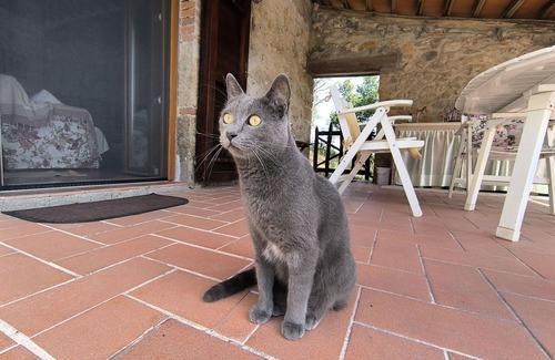 Massa Marittima House | Beautiful private villa for 6 people with WIFI, TV, patio, pets allowed, panoramic view and park.