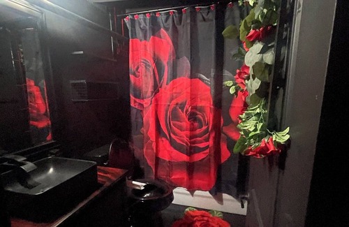 Mexicantown - Southwest Detroit Apartment | Beautiful Romantic getaway Rose theme Loft