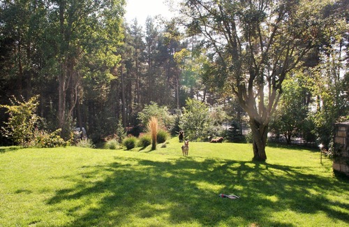 San Genesio Atesino Apartment | Beautiful studio near Bolzano - forest view, right on the European long-distance trail