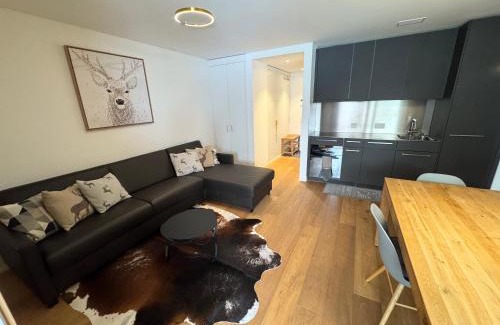 Flims Apartment | Beautiful Sunny New 1 Bed Apt (2.5Zim). Ski in/out