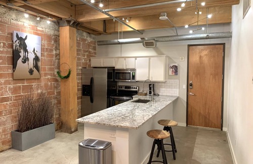 Downtown Dallas Condo | Beautiful updated condo in the heart of Dallas