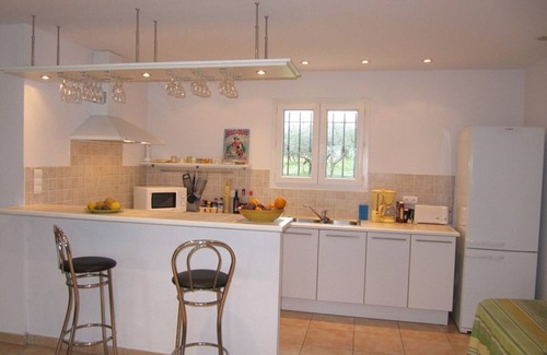 Aups House | Beautiful villa surrounded by olive trees near Aups village