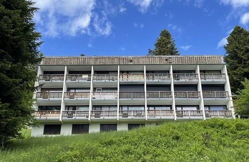 Laveissiere Apartment | Beautifully renovated T2 apartment with balcony at the ski slope