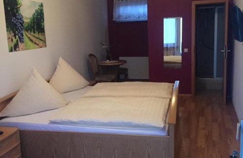 Mainz-Bingen Bed & Breakfast | Bed and Breakfast - Rheingauer Hof