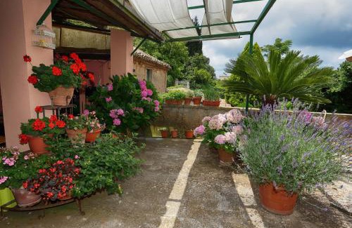 Vibo Valentia Bed & Breakfast | Bed and Breakfast di Francia