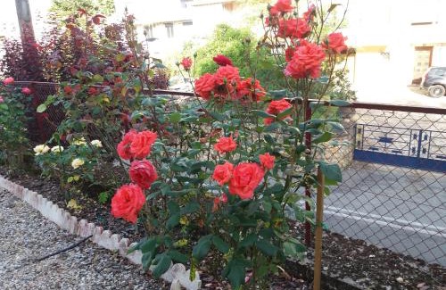 Fumel Apartment | BED AND BREAKFAST LES ROSES MULTICOLORES DU 47
