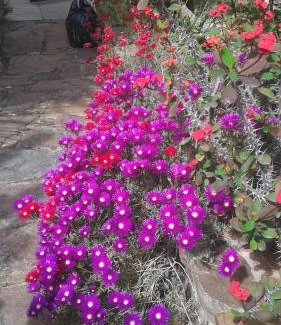 Province of Cagliari Bed & Breakfast | Bed and Breakfast Su Niu