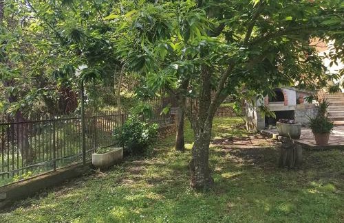 Casarza Ligure Bed & Breakfast | Bed & Breakfast Le cicale e la formica