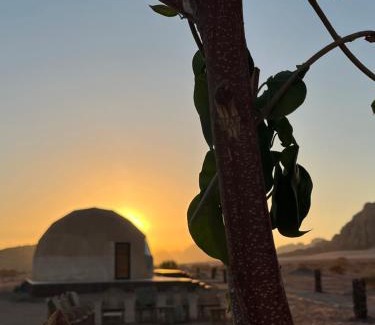 Wadi Rum Other | Bedouin oasis