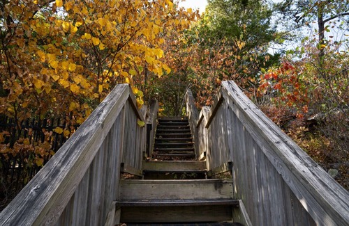 Rising Fawn Cabin | Bee Balm: Unplug Cabins on Cloudland Canyon