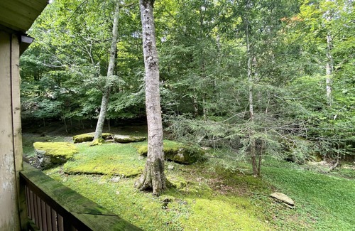 Beech Mountain Condo | Beech Mountain Condo Sleeps 5; Go to Ski Beech