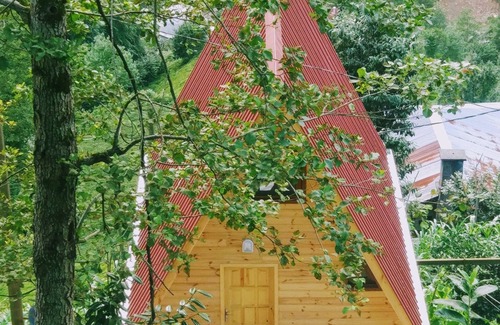 Ayder Cabin | Begi Apart Bungalov