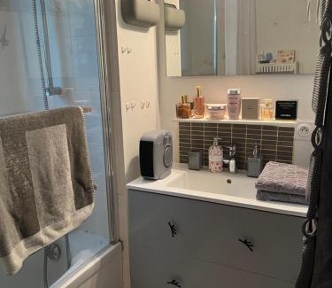 Saint-Martin-de-Seignanx Apartment | Bel appartement