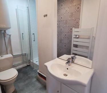 Rives de Meurthe Apartment | Bel appartement en face de la pépinere de Nancy Stanislas