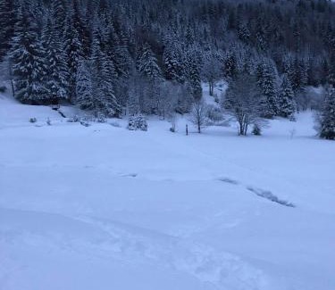 La Bresse Apartment | Bel appartement neuf équipé au pied des pistes du HONHECK