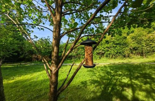 Five Oak Green Cabin | Bell Nook- Shepherd's hut with a spacious wood-fired hot tub