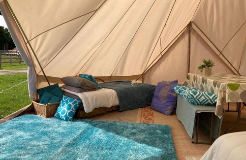 New Forest District Other | Bell Tent Village Sleeps up to 16!