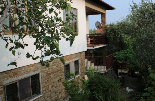 Fiesole House | BELLA VISTA BOLOGNESE