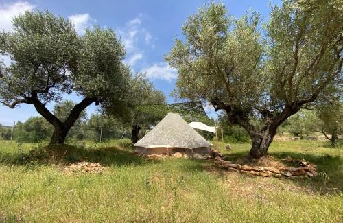 Tortosa Other | Bellissima Bell tent
