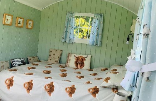 Boughton Other | Bells Meadow Shepherds Hut