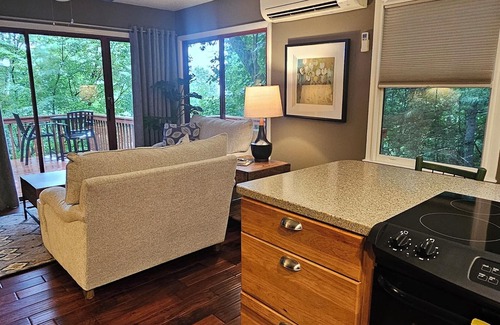 Fairview House | BELOVED BUNGALOW , hot tub, view, WiFi, near Biltmore & downtown