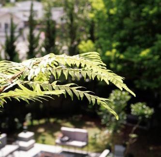 Phuong 10 Hotel | Ben Ben - Casa De iluso