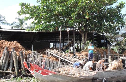 Ben Tre House | Ben Tre Farm Stay