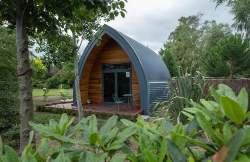 Ettrick Cabin | Benger Garden Chalets