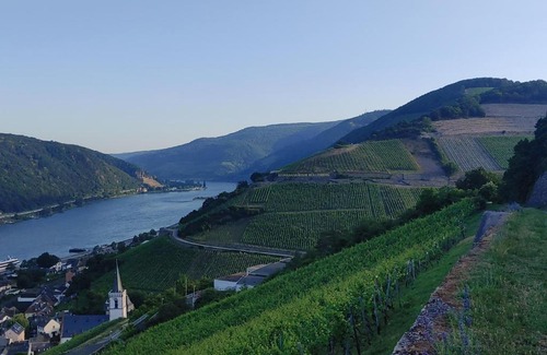Mainz-Bingen Hotel | Berg´s Backpacker