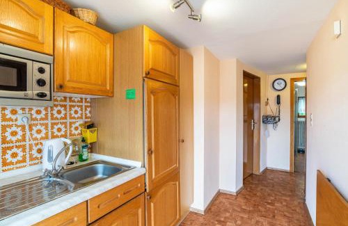Forbach Apartment | Bergblick