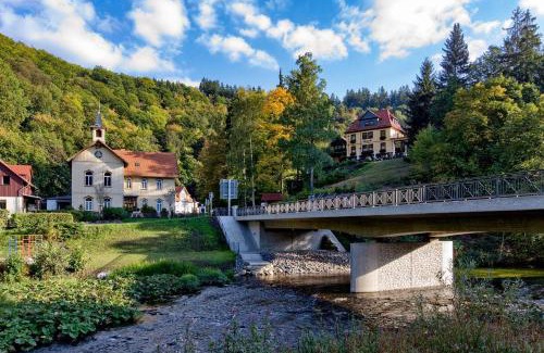 Treseburg Apartment | Bergcafé Mendorf