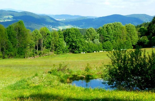 Patersdorf Hotel | Berggasthof Schön